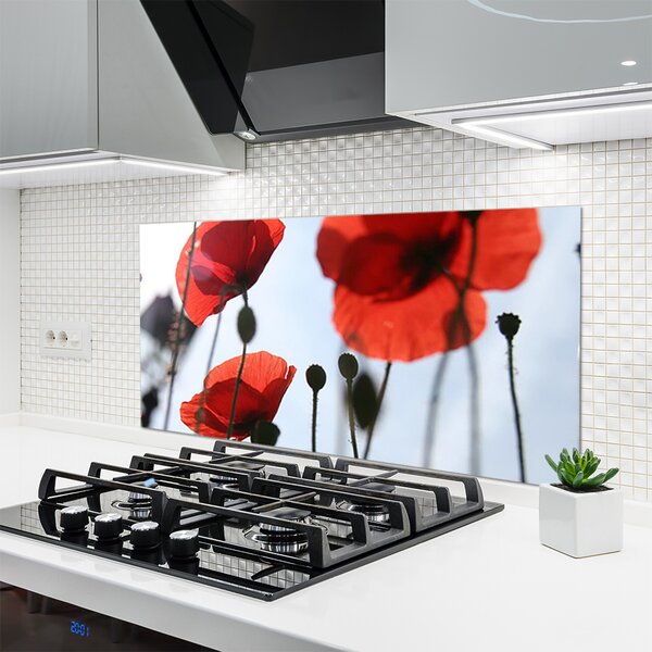 Panou sticla bucatarie Maci Floral Rosu Negru