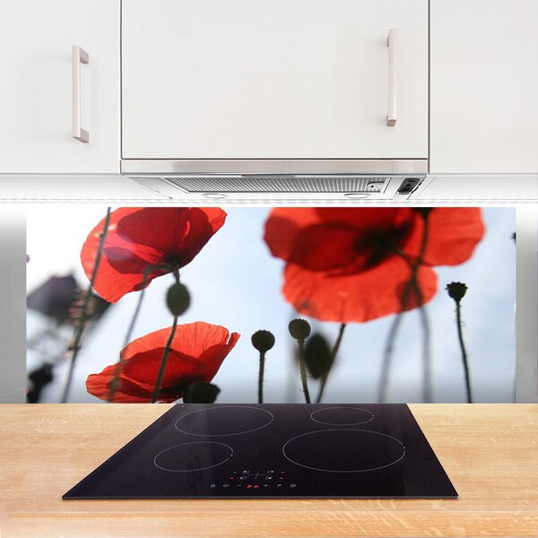 Panou sticla bucatarie Maci Floral Rosu Negru