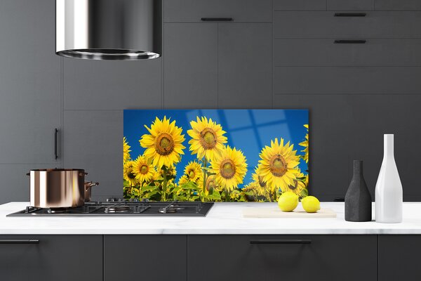 Panou sticla bucatarie Floarea soarelui Floral Galben Verde