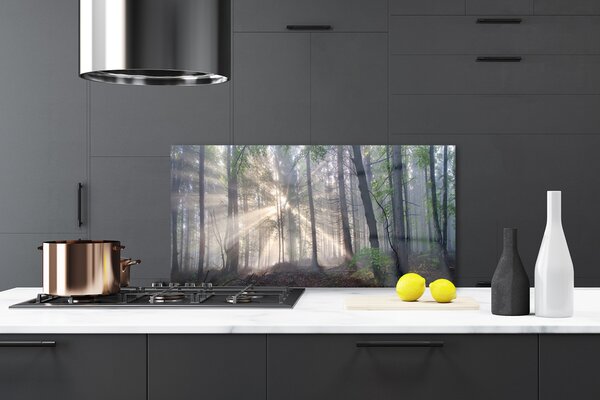 Panou sticla bucatarie Natural Pădurea Verde Maro