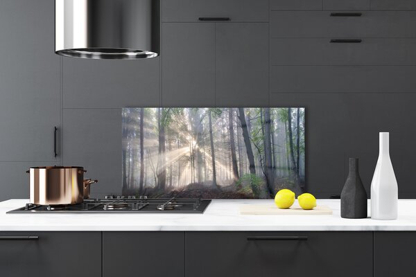 Panou sticla bucatarie Natural Pădurea Verde Maro