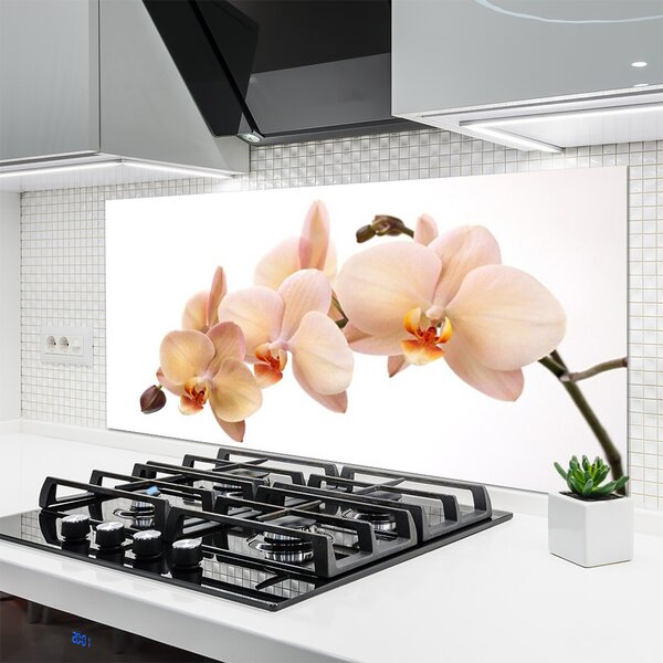 Panou sticla bucatarie Flori Floral Alb Brun