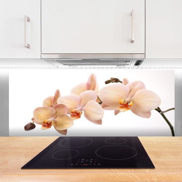 Panou sticla bucatarie Flori Floral Alb Brun