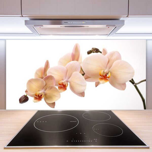 Panou sticla bucatarie Flori Floral Alb Brun