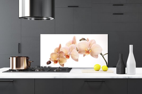 Panou sticla bucatarie Flori Floral Alb Brun