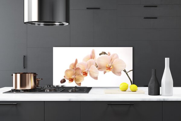 Panou sticla bucatarie Flori Floral Alb Brun