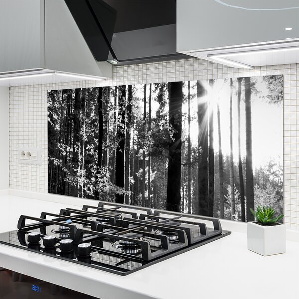 Panou sticla bucatarie Forest Nature Gray