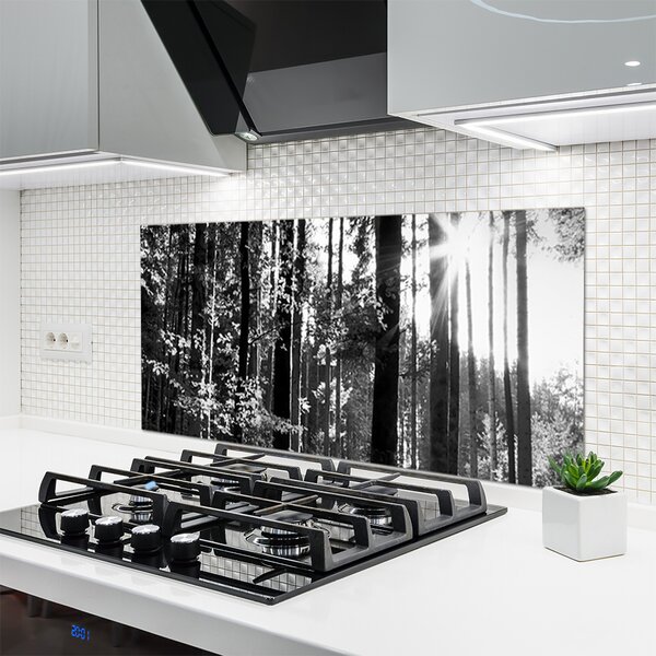 Panou sticla bucatarie Forest Nature Gray
