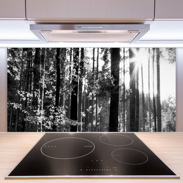 Panou sticla bucatarie Forest Nature Gray