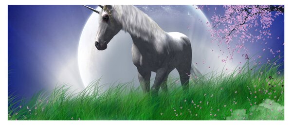 Tablou cu unicorn (120x50 cm)