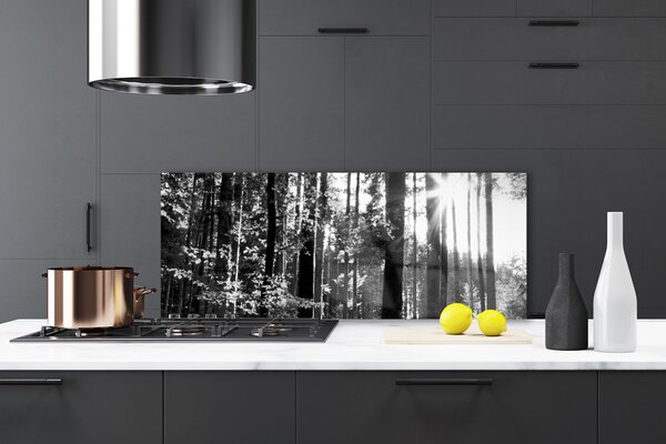 Panou sticla bucatarie Forest Nature Gray