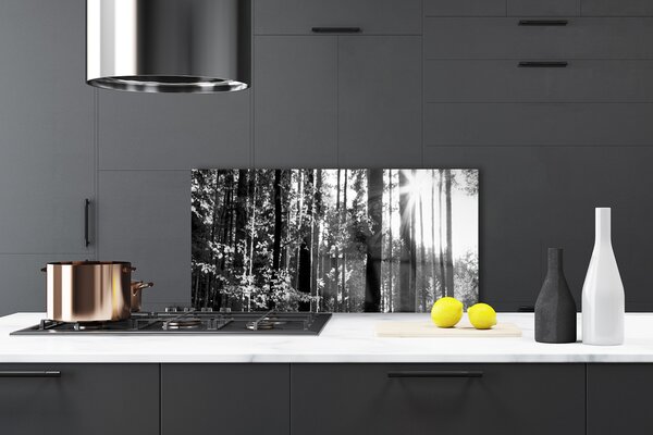 Panou sticla bucatarie Forest Nature Gray