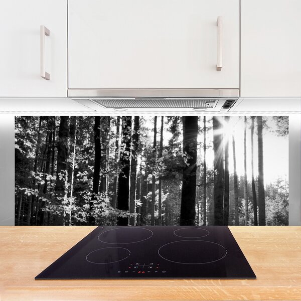 Panou sticla bucatarie Forest Nature Gray