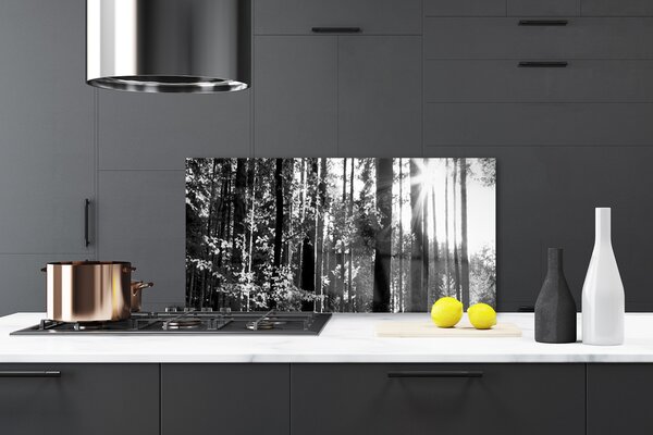 Panou sticla bucatarie Forest Nature Gray