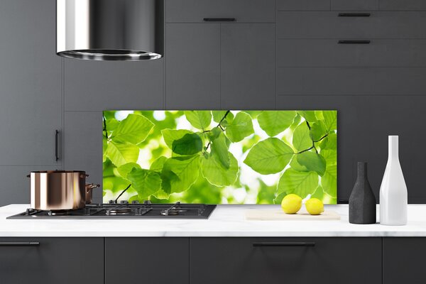Panou sticla bucatarie Frunze verde florale