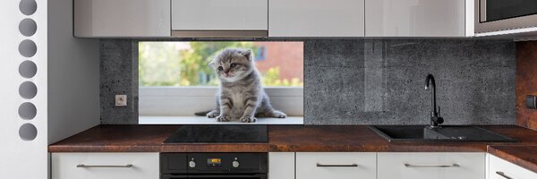 Sticlă pentru bucătărie pisica mica la fereastra