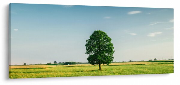 Tablou cu copaci pe luncă (120x50 cm)