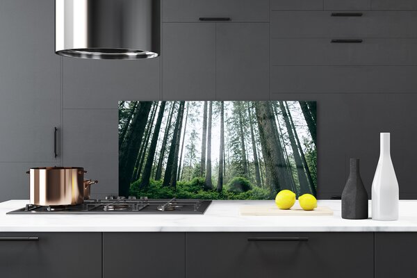 Panou sticla bucatarie Natural Pădurea Verde Maro