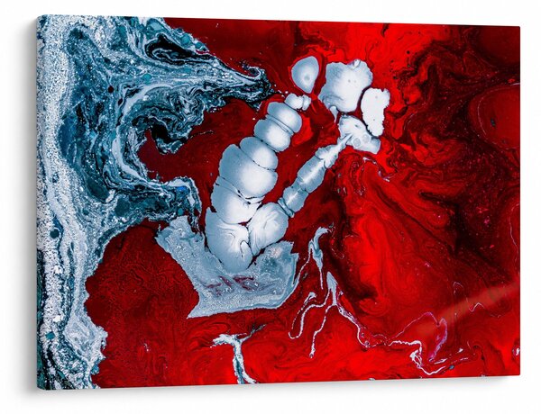 Tablou cu pete abstarcte (70x50 cm)