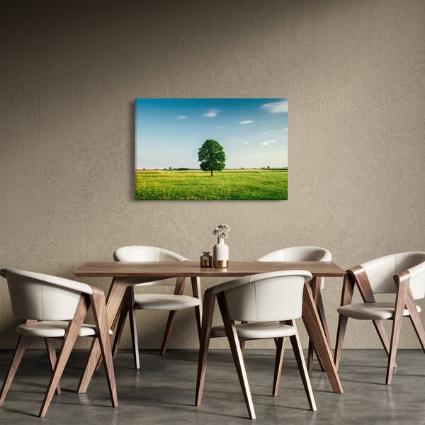 Tablou cu copaci pe luncă (90x60 cm)