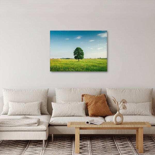 Tablou cu copaci pe luncă (70x50 cm)
