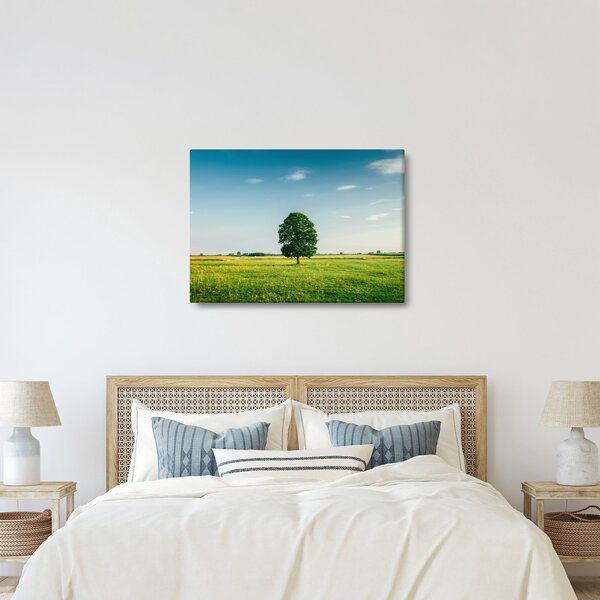 Tablou cu copaci pe luncă (70x50 cm)