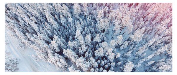 Tablou cu copaci înzăpeziți (120x50 cm)