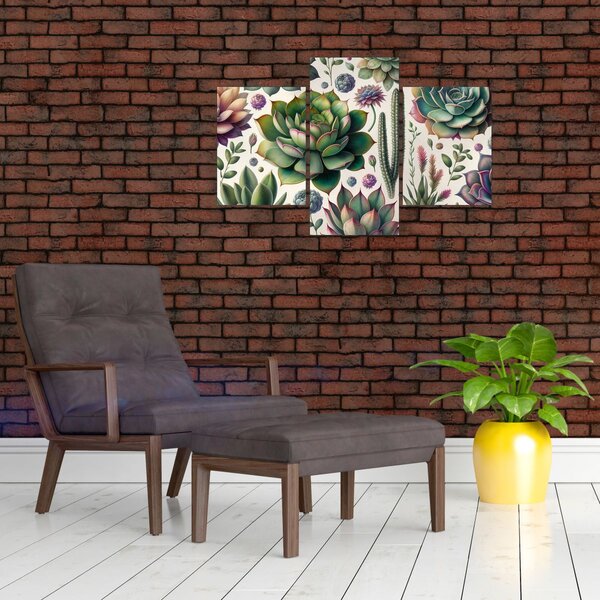 Tablou - Plante suculente (90x60 cm)
