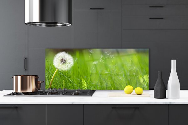 Panou sticla bucatarie Pusteblume Iarbă Floral Alb Verde
