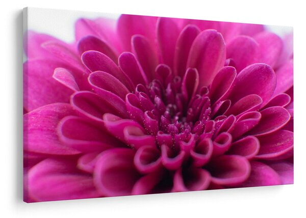 Tablou cu floare (90x60 cm)