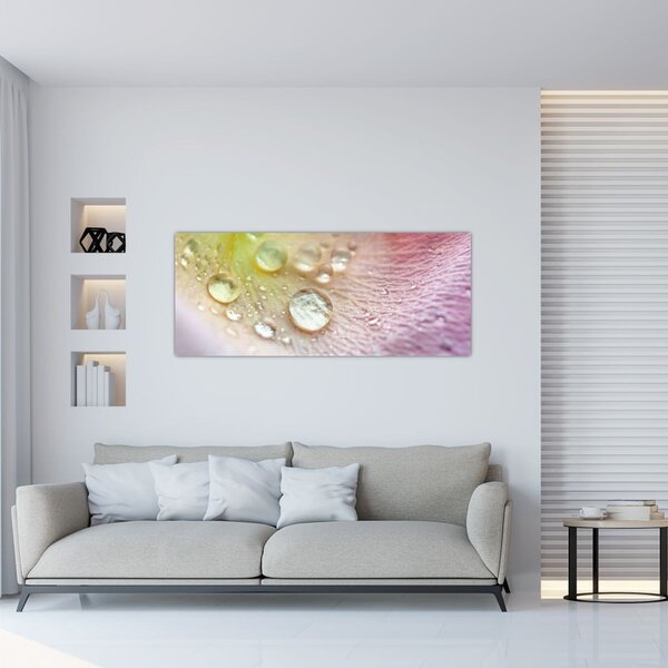 Tablou - Picături de rouă (120x50 cm)