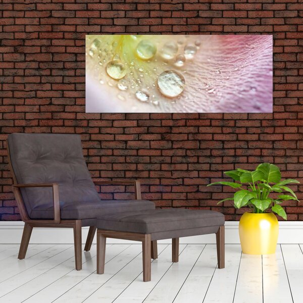 Tablou - Picături de rouă (120x50 cm)