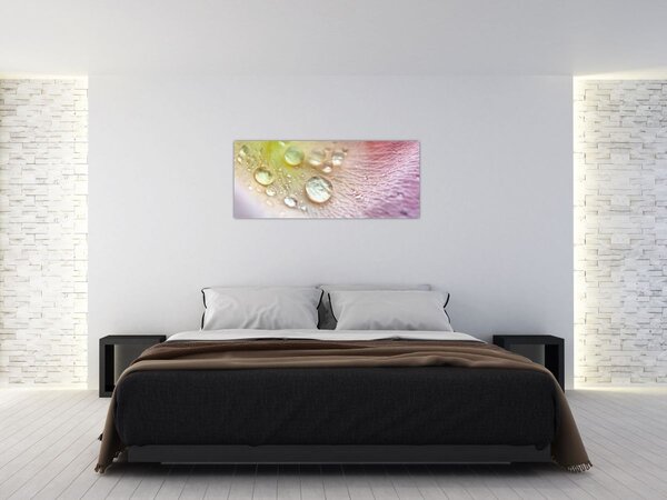 Tablou - Picături de rouă (120x50 cm)