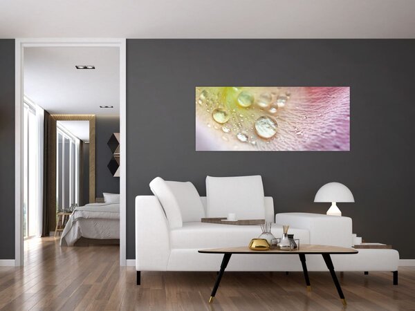 Tablou - Picături de rouă (120x50 cm)