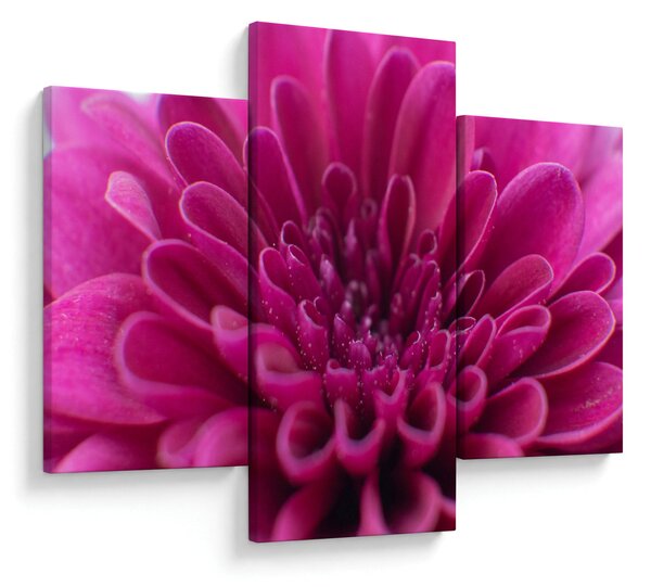Tablou cu floare (90x60 cm)