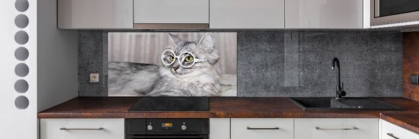 Sticlă bucătărie Cat cu ochelari