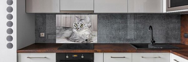 Sticlă bucătărie Cat cu ochelari
