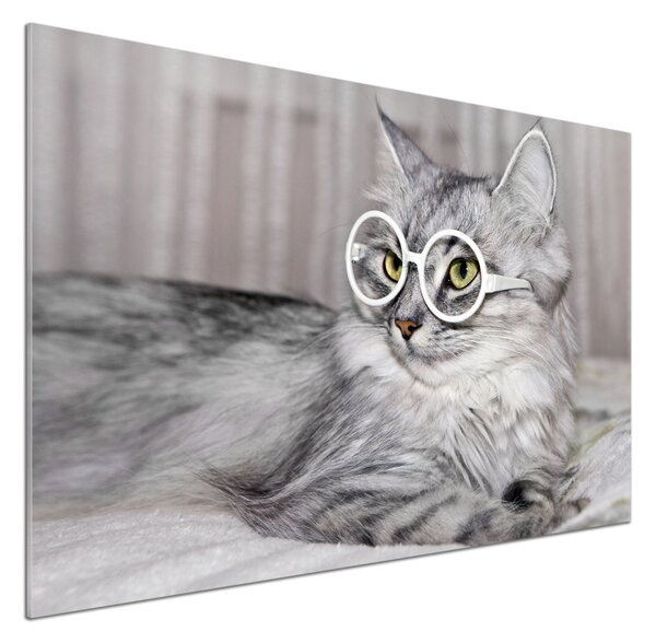 Sticlă bucătărie Cat cu ochelari