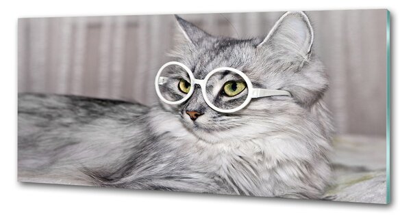 Sticlă bucătărie Cat cu ochelari