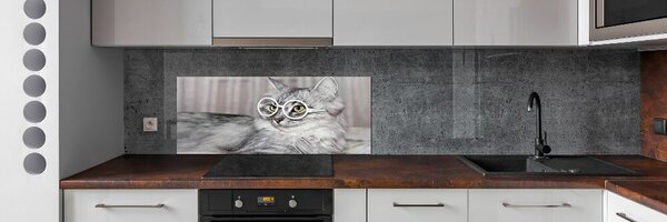 Sticlă bucătărie Cat cu ochelari