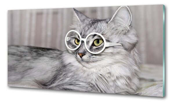 Sticlă bucătărie Cat cu ochelari