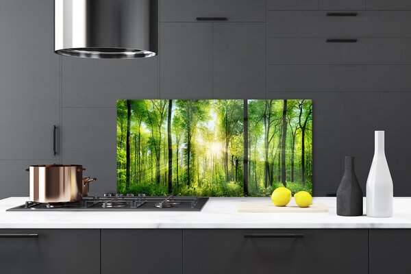 Panou sticla bucatarie Pădurea Verde Natura Maro