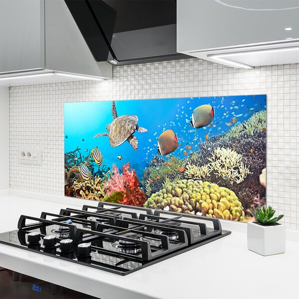 Panou sticla bucatarie Coral Reef Peisaj Multi