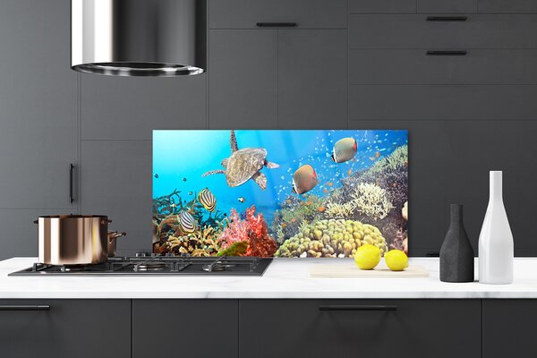 Panou sticla bucatarie Coral Reef Peisaj Multi