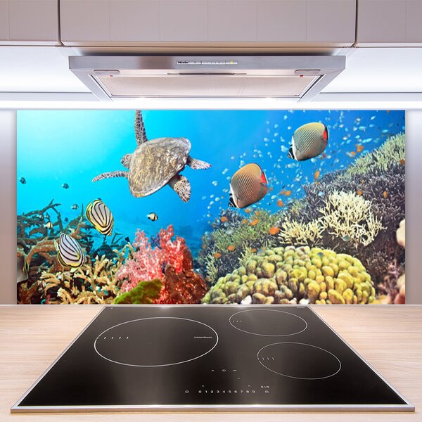 Panou sticla bucatarie Coral Reef Peisaj Multi