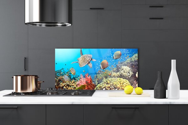 Panou sticla bucatarie Coral Reef Peisaj Multi