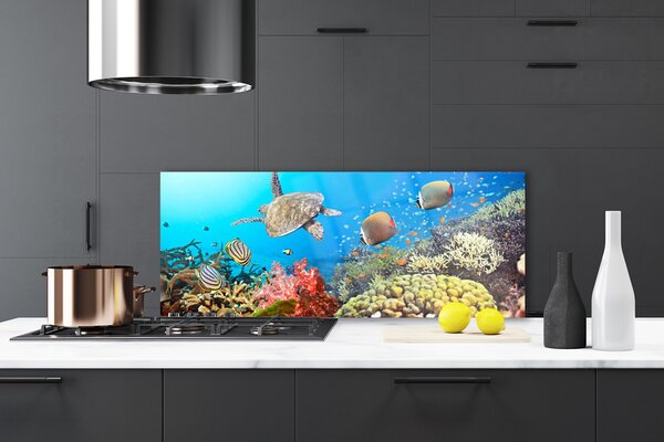 Panou sticla bucatarie Coral Reef Peisaj Multi