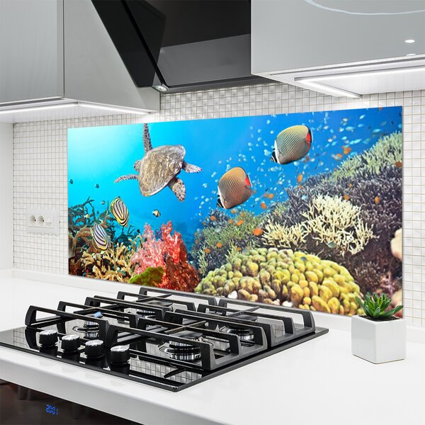Panou sticla bucatarie Coral Reef Peisaj Multi