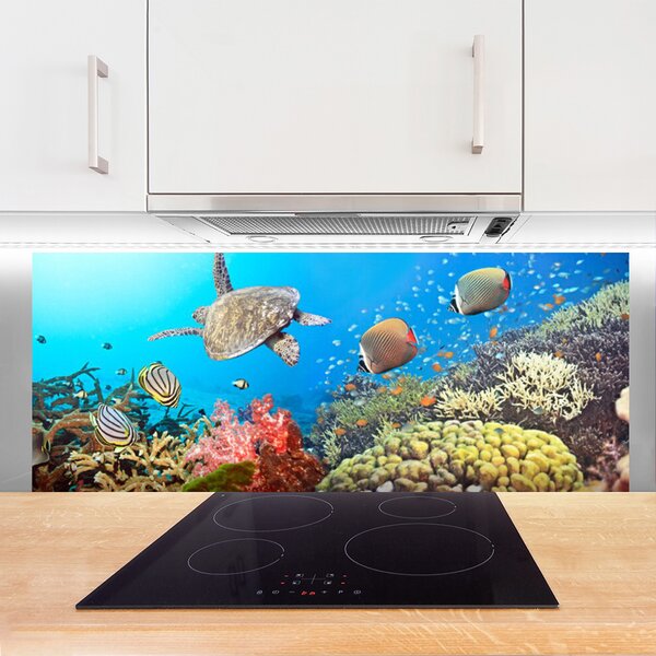 Panou sticla bucatarie Coral Reef Peisaj Multi