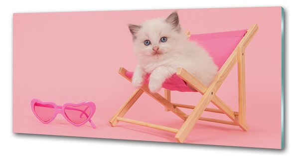 Panou sticlă bucătărie Cat pe un șezlong